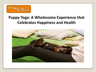 Puppy Yoga A Wholesome Experience that Celebrates Happiness and Health