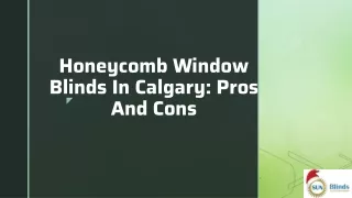 Honeycomb Window Blinds In Calgary Pros And Cons
