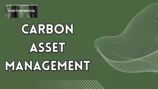 Carbon Asset Management