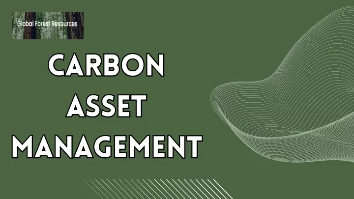 carbon asset management management