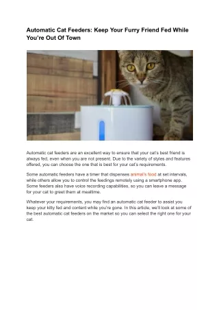 Automatic Cat Feeders_ Keep Your Furry Friend Fed While You’re Out Of Town