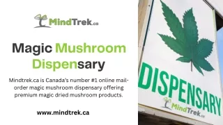 Magic Mushroom Dispensary - Mindtrek