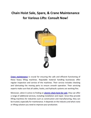 Chain Hoist Sale, Spare, & Crane Maintenance for Various Lifts Consult Now!