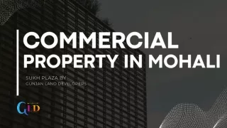 Commercial Property in Mohali - Gunjan Land Developers