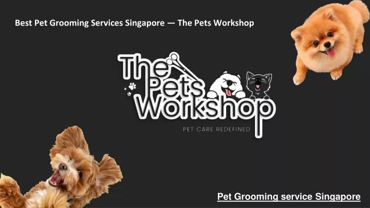 best pet grooming services singapore the pets