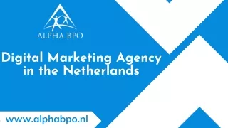 Digital Marketing Agency in the Netherlands