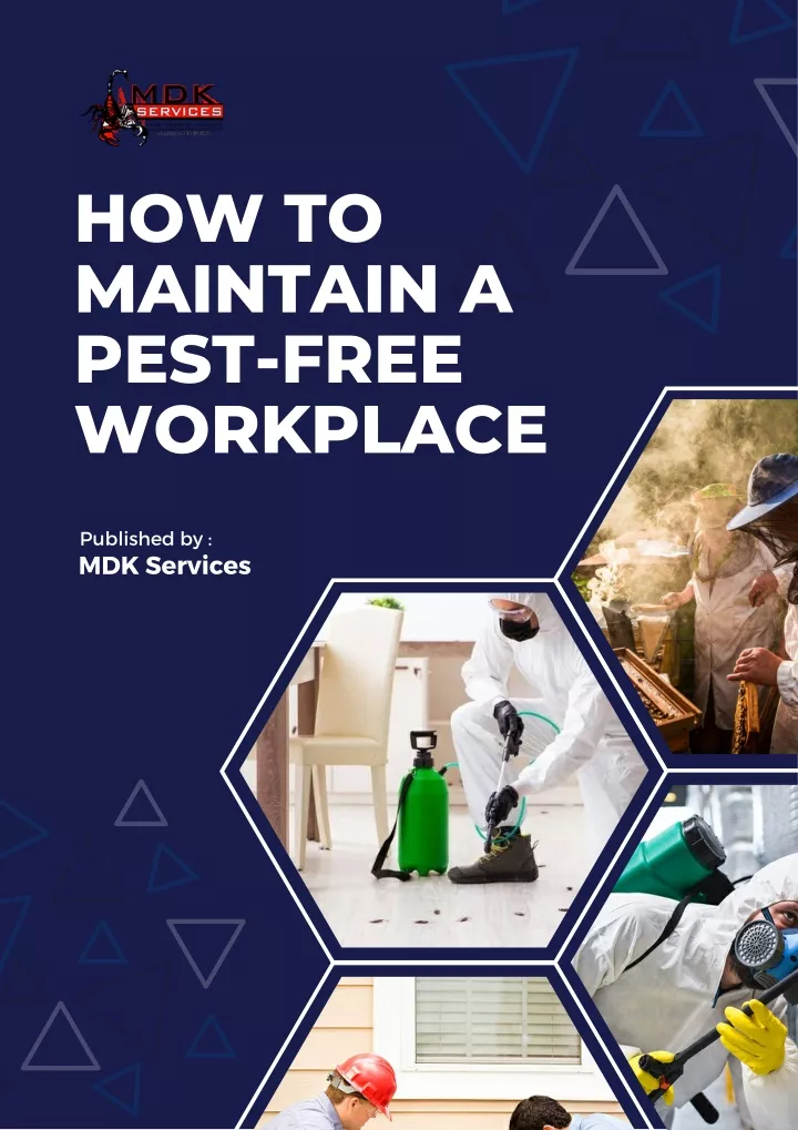 how to maintain a pest free workplace