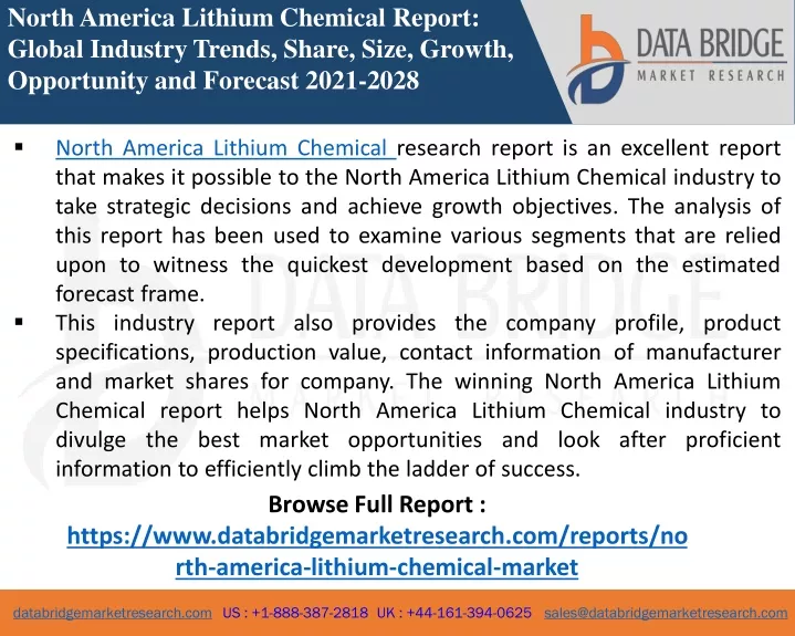 north america lithium chemical report global
