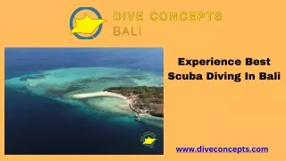 Experience Best Scuba Diving In Bali