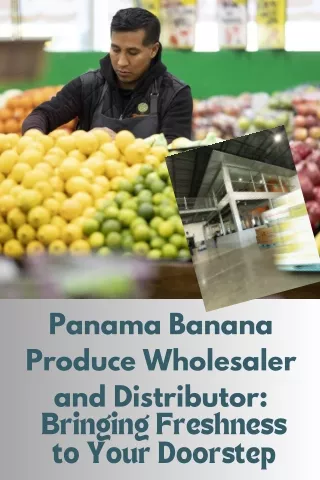 Panama Banana Produce Wholesaler and Distributor Bringing Freshness to Your Doorstep