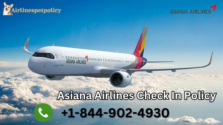asiana airlines check in policy asiana airlines