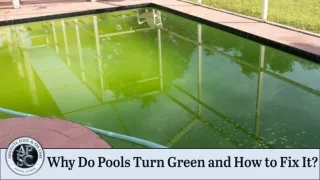 Why Do Pools Turn Green? And How To Fix It?