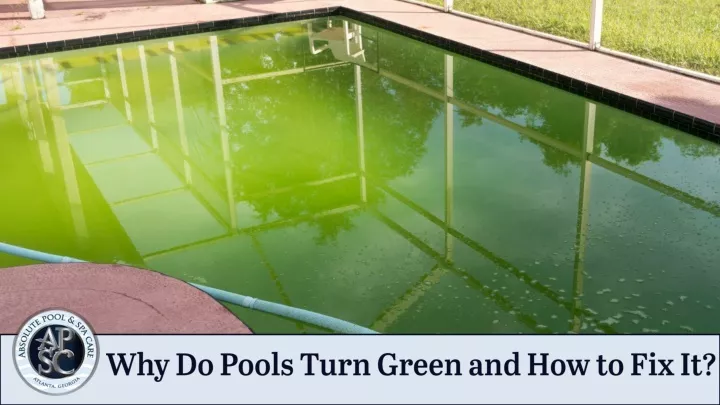 why do pools turn green and how to fix it