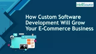 How Custom Software Development Will Grow Your E-Commerce Business