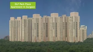 DLF Park Place for Rent Gurugram