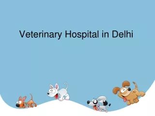 Veterinary Hospital  Delhi - DCCPets