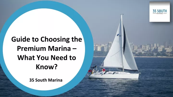 guide to choosing the premium marina what you need to know
