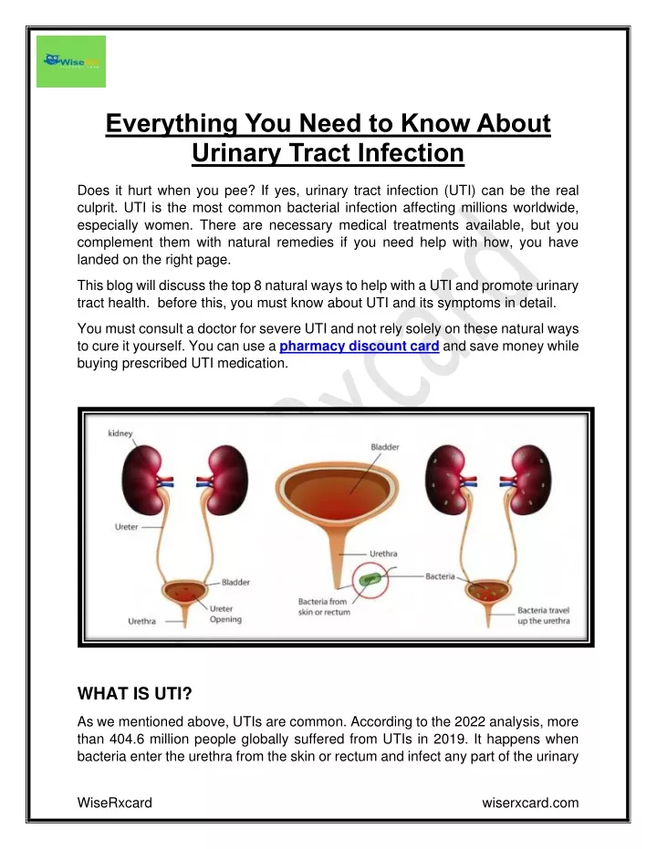 everything you need to know about urinary tract