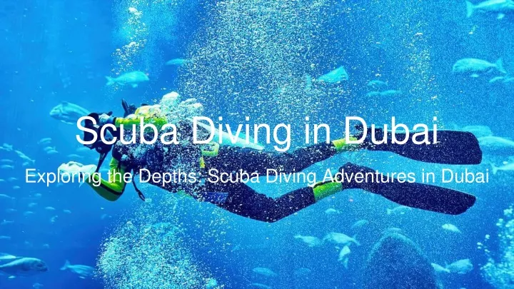 scuba diving in dubai
