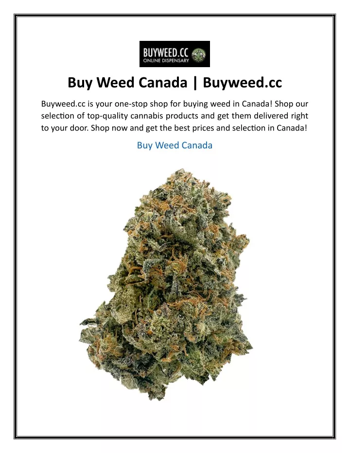 buy weed canada buyweed cc