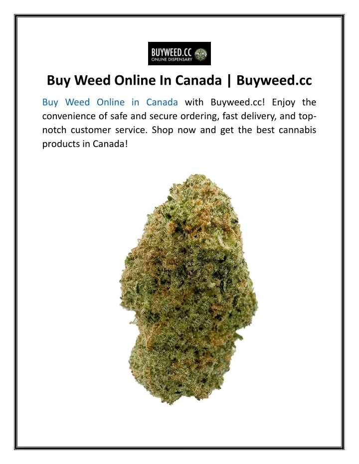 buy weed online in canada buyweed cc