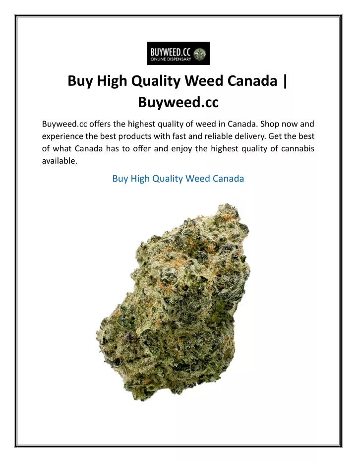 buy high quality weed canada buyweed cc