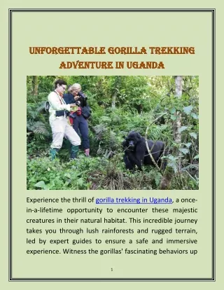 Unforgettable Gorilla Trekking Adventure in Uganda
