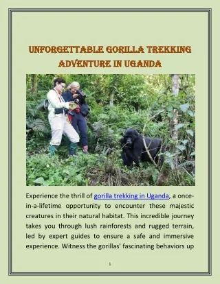 unforgettable gorilla trekking unforgettable