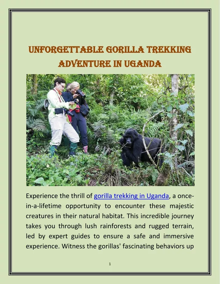 unforgettable gorilla trekking unforgettable