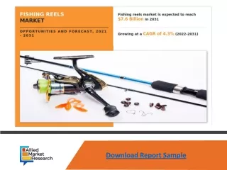 Fishing Reels Market