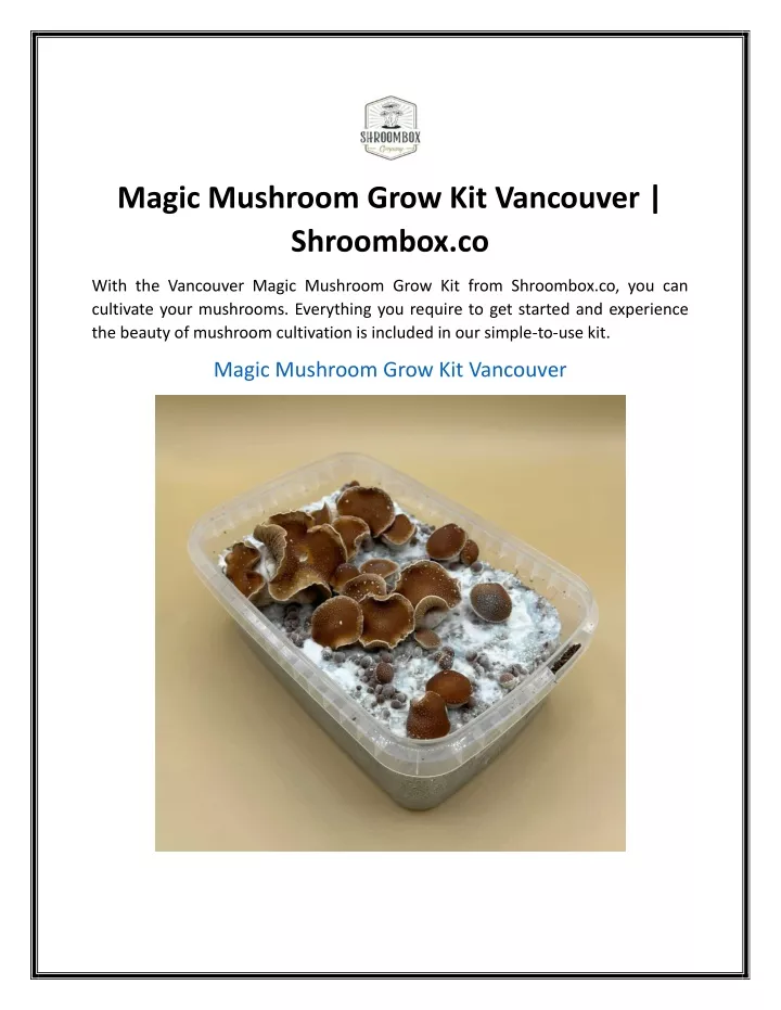 magic mushroom grow kit vancouver shroombox co