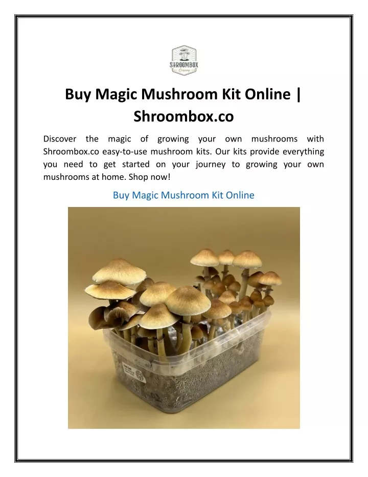 buy magic mushroom kit online shroombox co