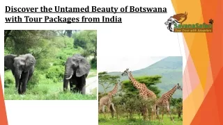 Discover the Untamed Beauty of Botswana with Tour Packages from India
