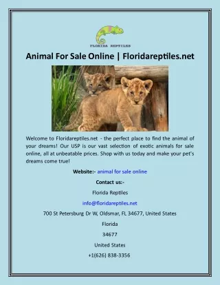 Animal For Sale Online  Floridareptiles.net