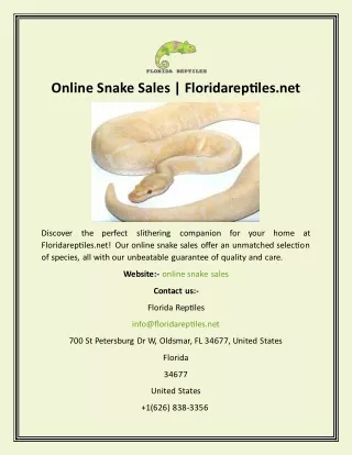 Online Snake Sales  Floridareptiles.net