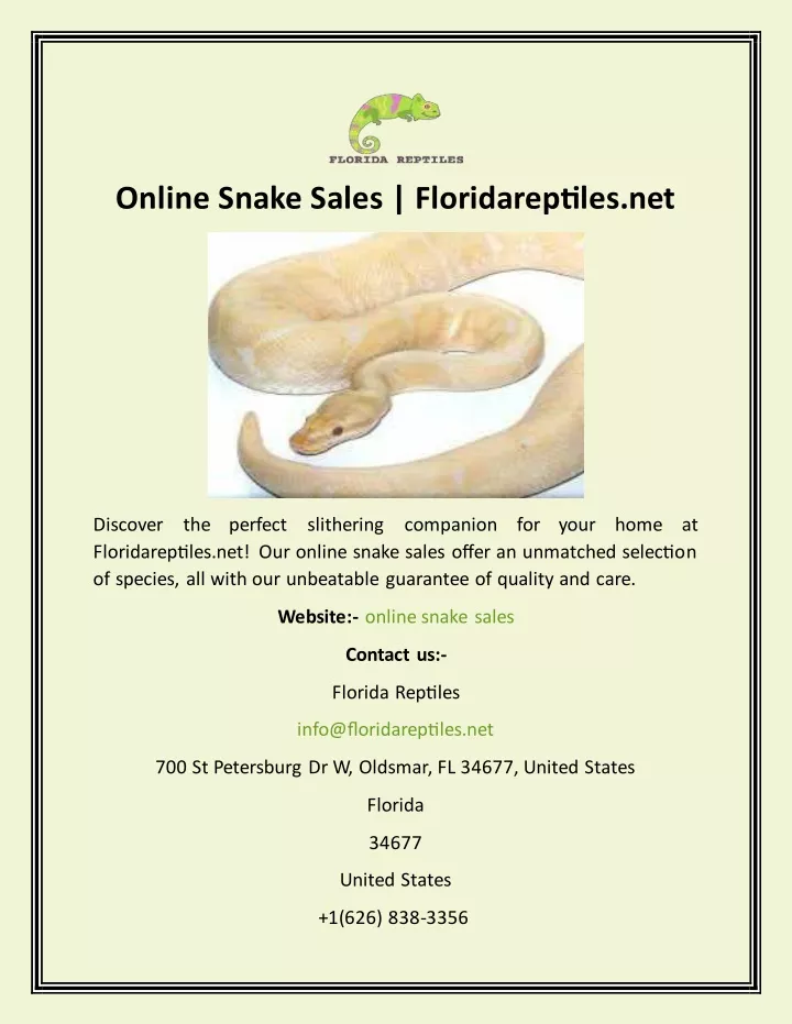 online snake sales floridareptiles net