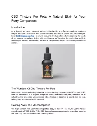 CBD Tincture For Pets_ A Natural Elixir for Your Furry Companions