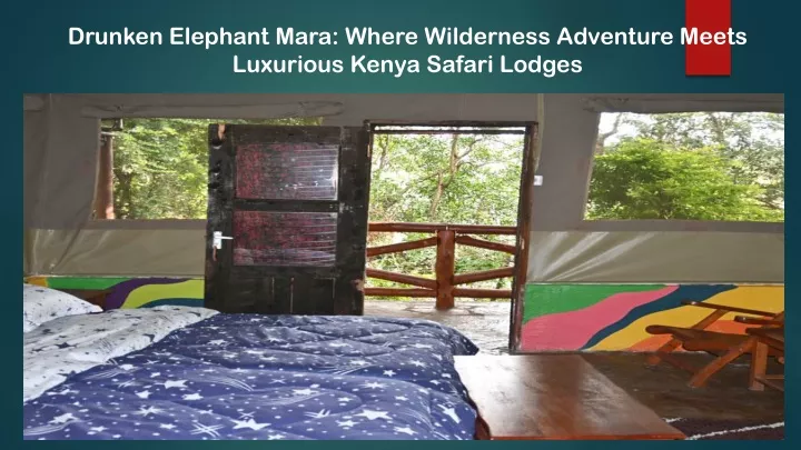 drunken elephant mara where wilderness adventure