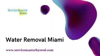 Get the Best Water Removal Services in Miami with ServiceMasterbyReed