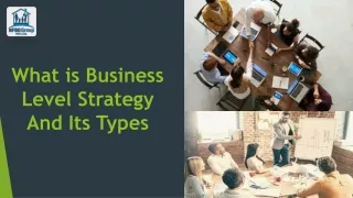 What is Business Level Strategy And Its Types