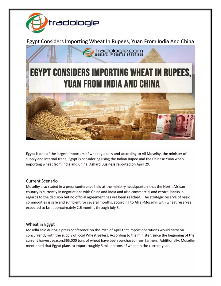 egypt considers importing wheat in rupees yuan