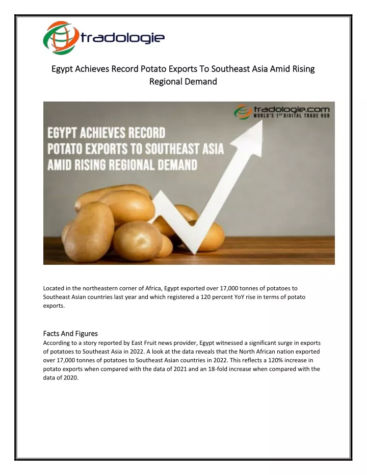 egypt achieves record potato exports to southeast