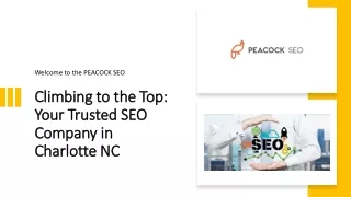 Climbing to the Top : Your Trusted SEO Company in Charlotte NC