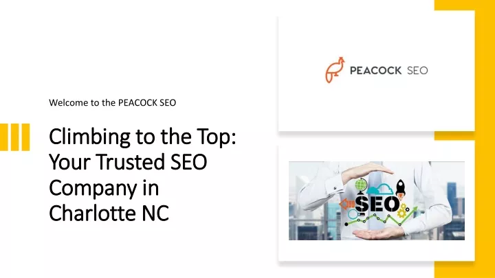 climbing to the top your trusted seo company in charlotte nc