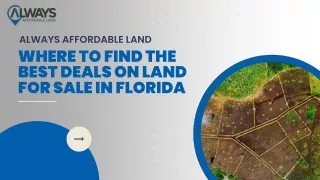 Where to Find the Best Deals on Land for Sale in Florida