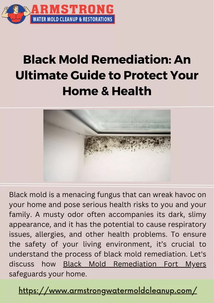 black mold remediation an ultimate guide
