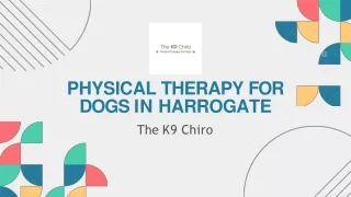 Physical Therapy for Dogs in Harrogate