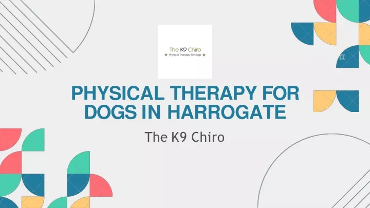 physical therapy for dogs in harrogate