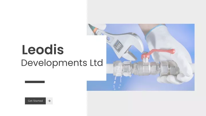 leodis developments ltd