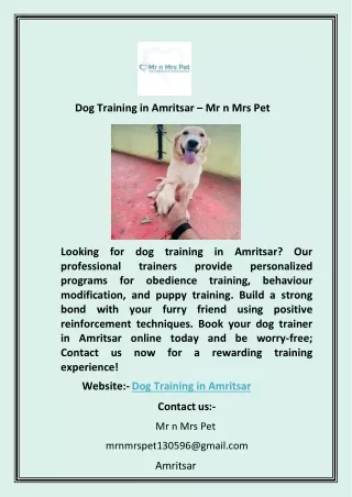 Dog Training in Amritsar
